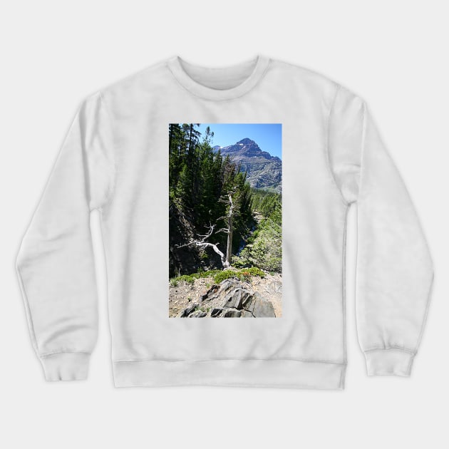 Glacier National Park, Dead Tree and Mountain Crewneck Sweatshirt by StonePics